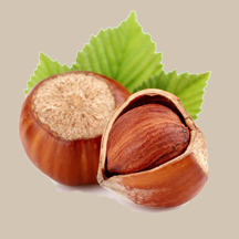 hazelnuts