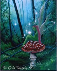 enchanted fairy forest