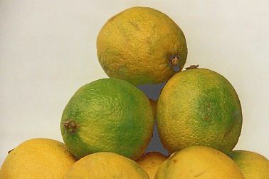 a pile of limes