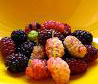 mulberrys